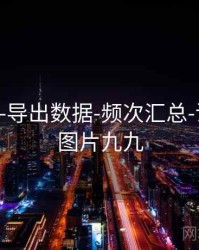 99图库-导出数据-频次汇总-说明页，图片九九