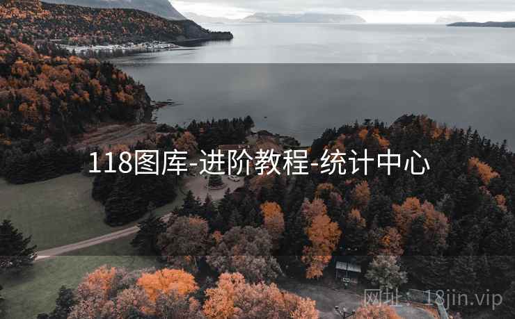 118图库-进阶教程-统计中心